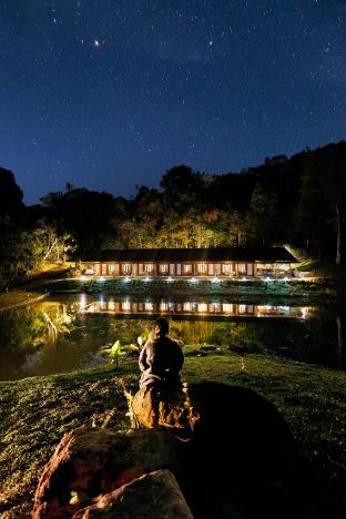 jungle park resort vythiri wayanad