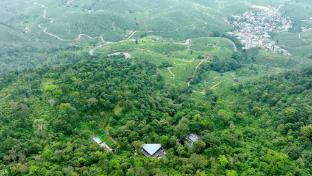 vagamon