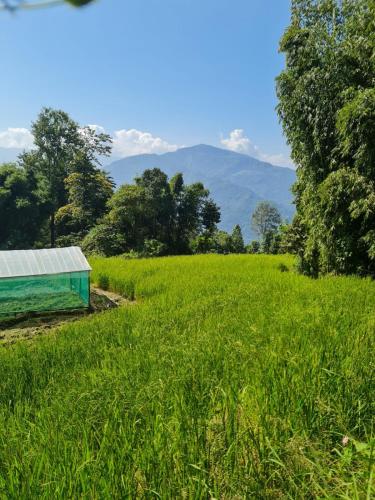 The Grand Kalimpong,,3 star