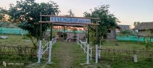 kaziranga