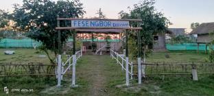 kaziranga