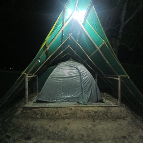 kaziranga