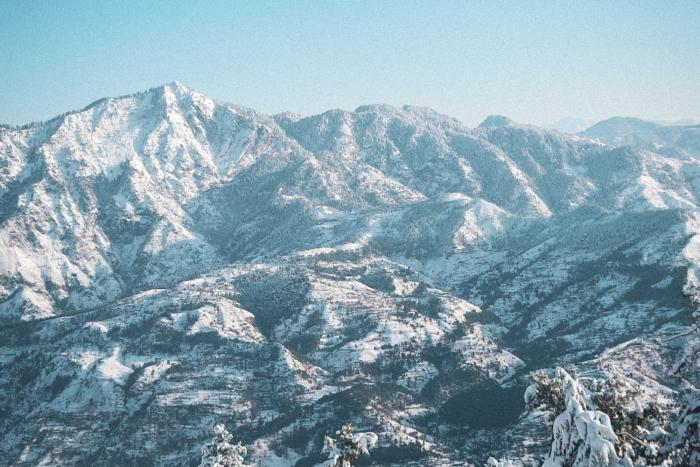 shimla