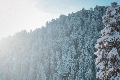 Solisvista Stays,,4 star