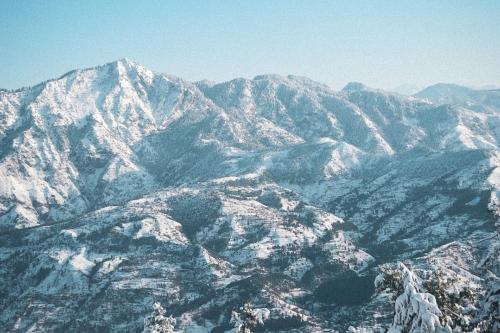 shimla
