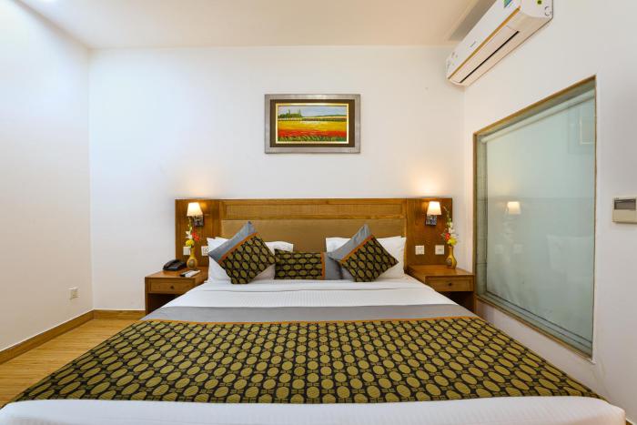 new delhi