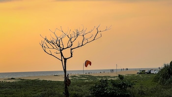 beach house varkala by palmyra