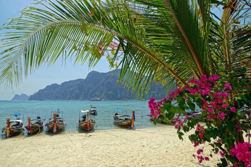 summer sea phi phi island