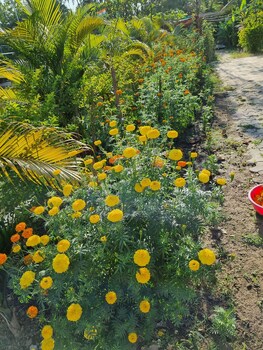 krushnakunj holiday resort nagaon