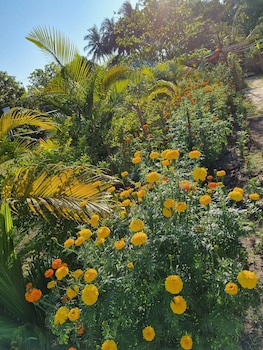 krushnakunj holiday resort nagaon