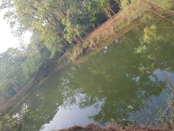 krushnakunj holiday resort nagaon