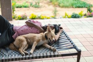 aranyavas nature retreat