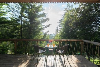 nirvana dhar nature resort