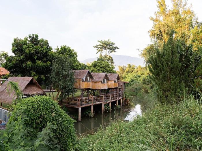 lion cafe resort