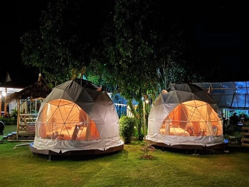 lion cafe resort