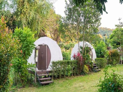 lion cafe resort