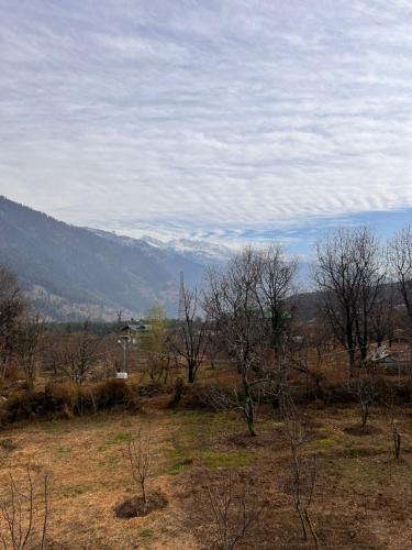 the venus live like a local