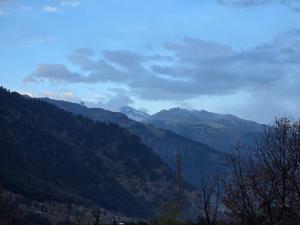 the venus live like a local