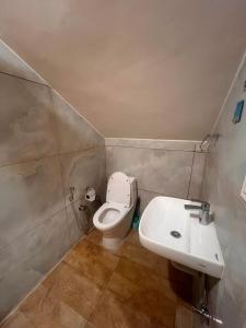 the venus live like a local