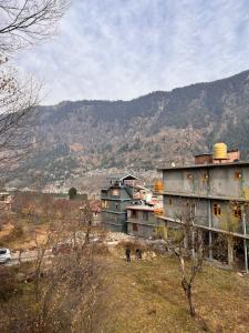 the venus live like a local