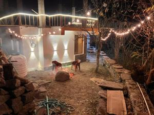 the venus live like a local