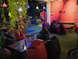 the venus live like a local