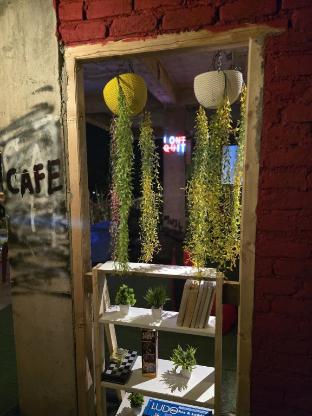 the venus live like a local