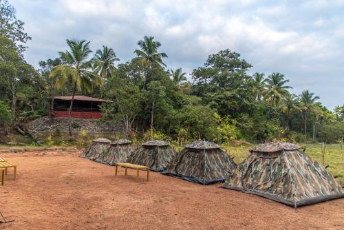 dandeli