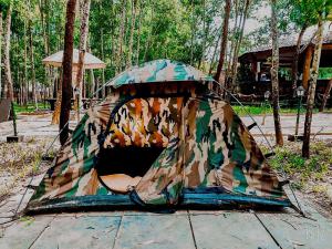 dandeli