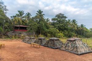 dandeli