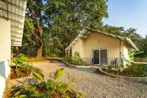 dandeli