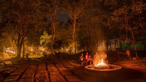 dandeli