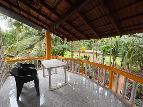 areca nest
