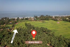areca nest