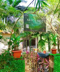 areca nest
