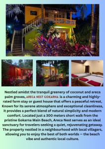 areca nest