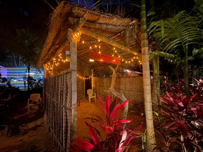 areca nest