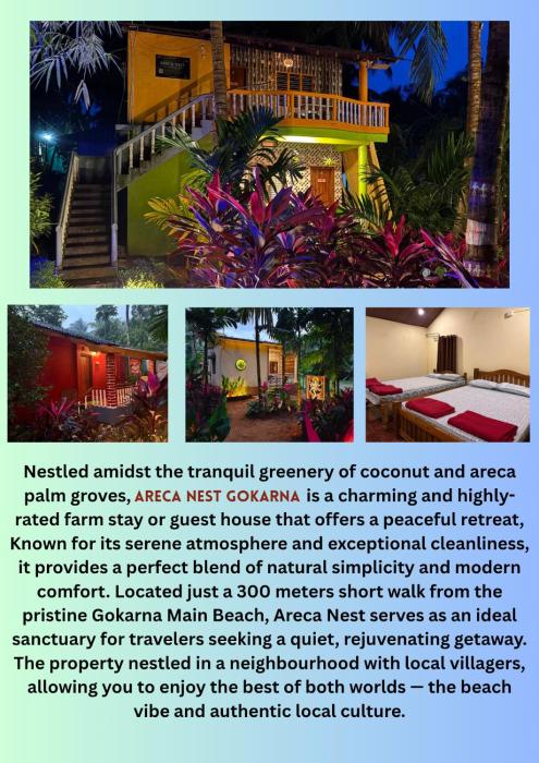 areca nest