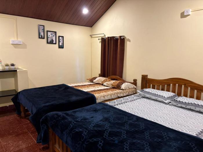 areca nest