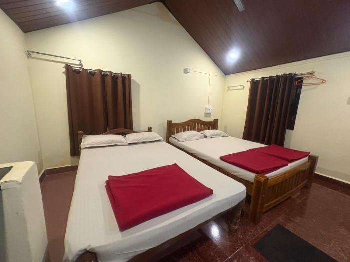 areca nest