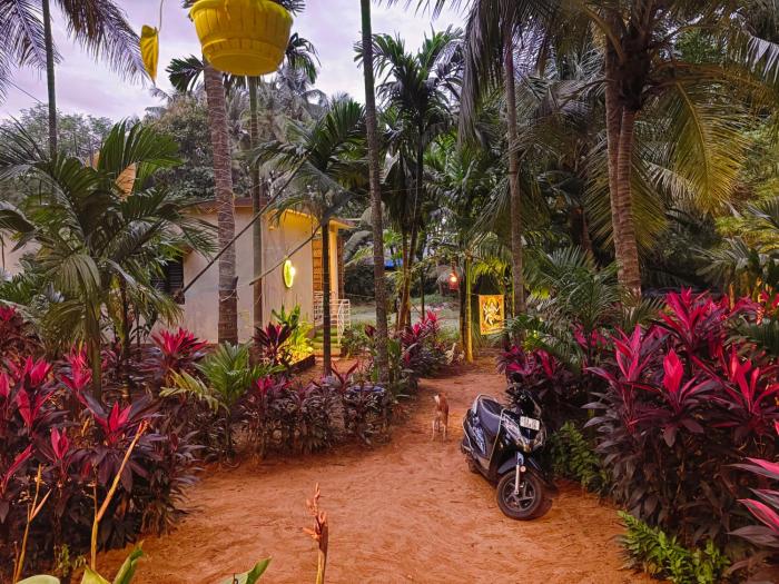 areca nest