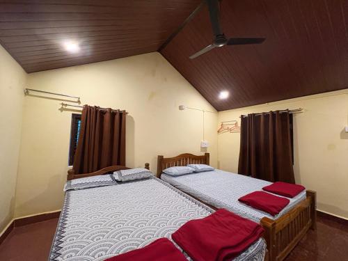 areca nest