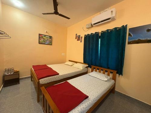 areca nest