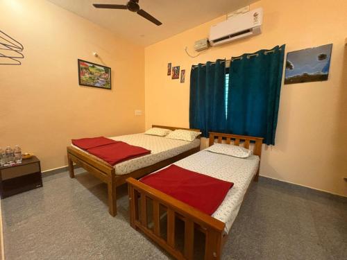 areca nest