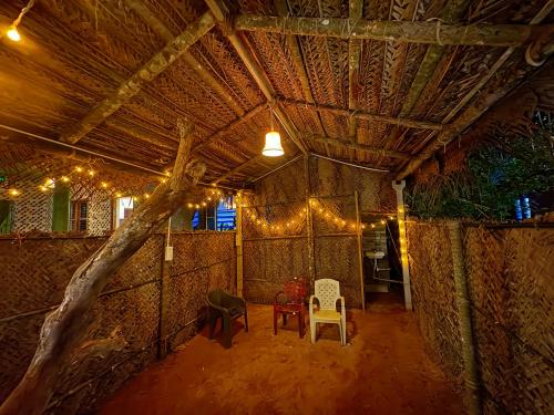 areca nest