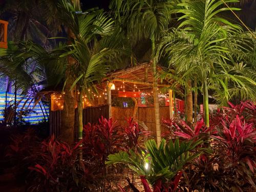 areca nest