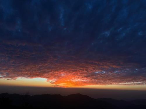kasauli star view near mall road