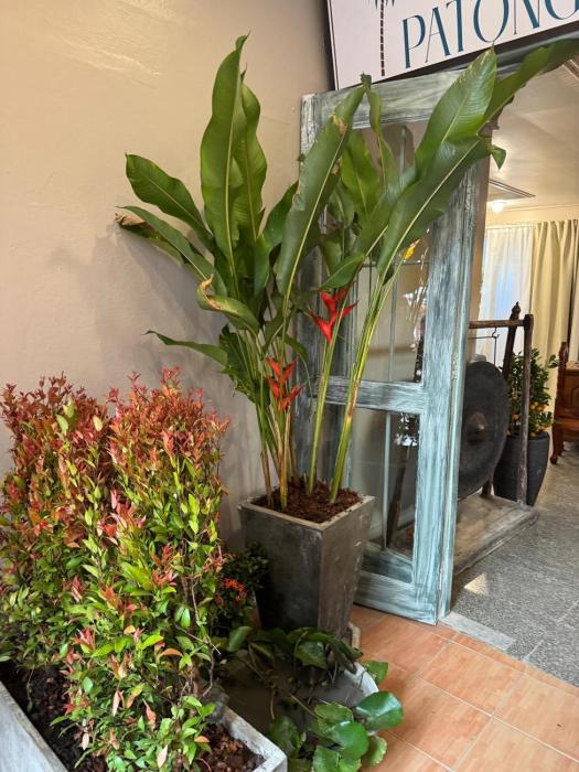 the taksim patong beach hotel