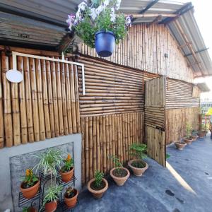 alohi the cottage homestay