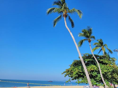 pattaya